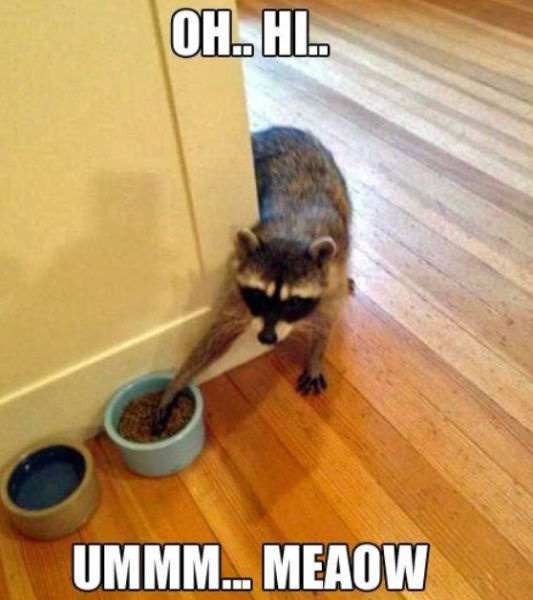 Bildschirmarbeiter - Picdump 15.08.2014