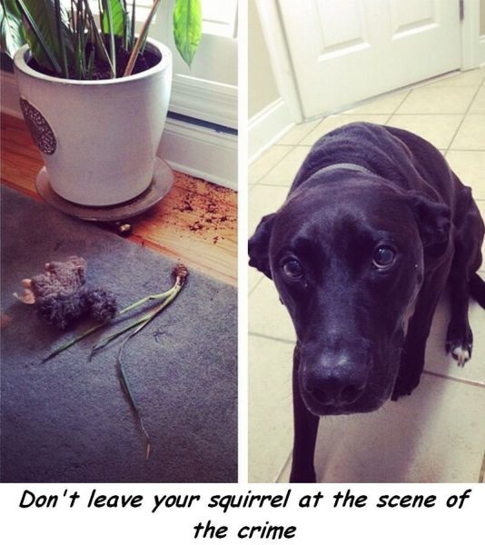 Bildschirmarbeiter - Picdump 15.08.2014