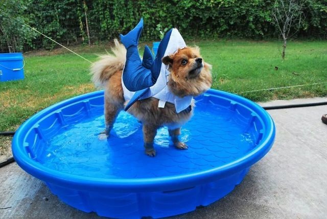 Bildschirmarbeiter - Picdump 15.08.2014