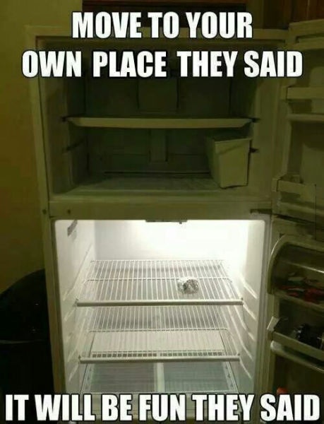 Bildschirmarbeiter - Picdump 15.08.2014