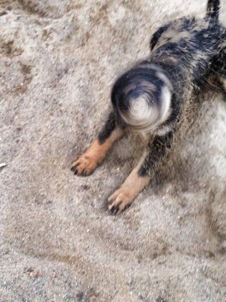 Bildschirmarbeiter - Picdump 15.08.2014