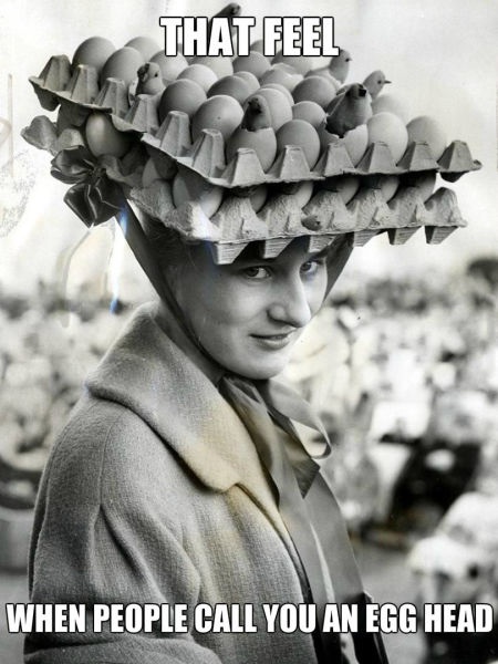 Bildschirmarbeiter - Picdump 15.08.2014