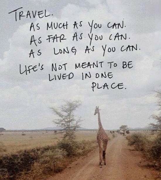 Bildschirmarbeiter - Picdump 15.08.2014