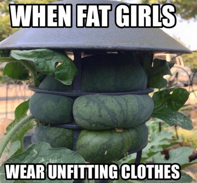 Bildschirmarbeiter - Picdump 15.08.2014