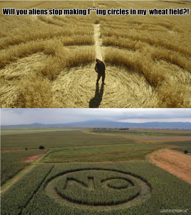 Bildschirmarbeiter - Picdump 15.08.2014