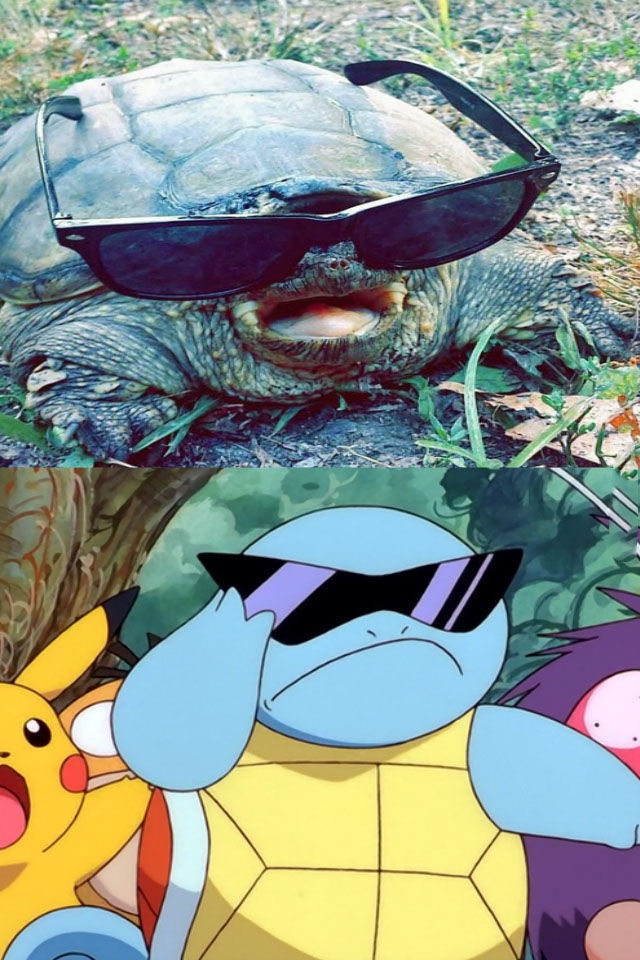 Bildschirmarbeiter - Picdump 15.08.2014