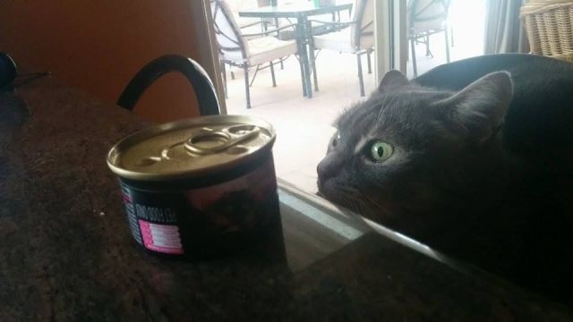 Bildschirmarbeiter - Picdump 22.08.2014