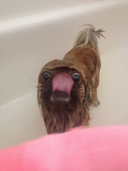 Bildschirmarbeiter - Picdump 22.08.2014