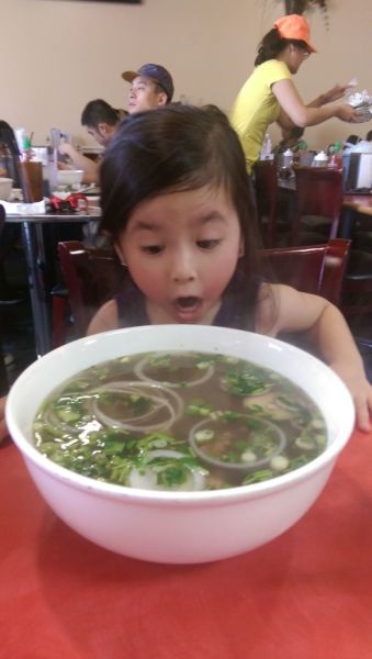 Bildschirmarbeiter - Picdump 22.08.2014