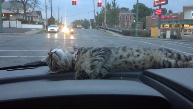 Bildschirmarbeiter - Picdump 22.08.2014