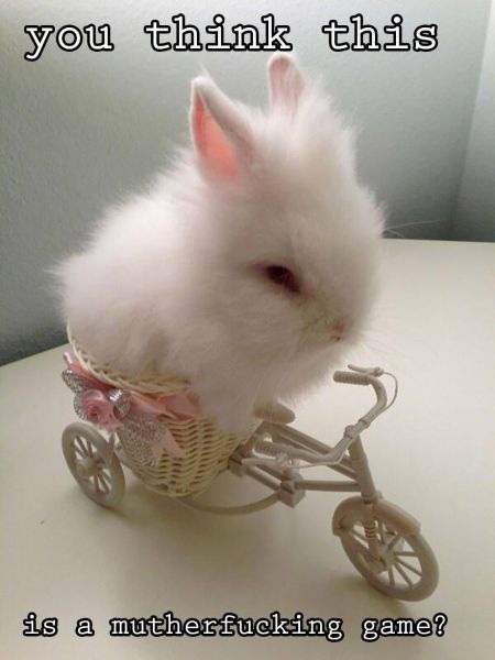 Bildschirmarbeiter - Picdump 22.08.2014