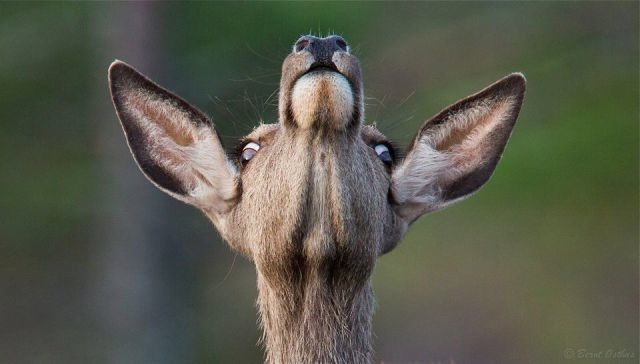 Bildschirmarbeiter - Picdump 22.08.2014