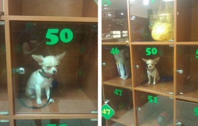 Bildschirmarbeiter - Picdump 22.08.2014