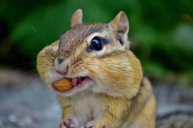 Bildschirmarbeiter - Picdump 22.08.2014