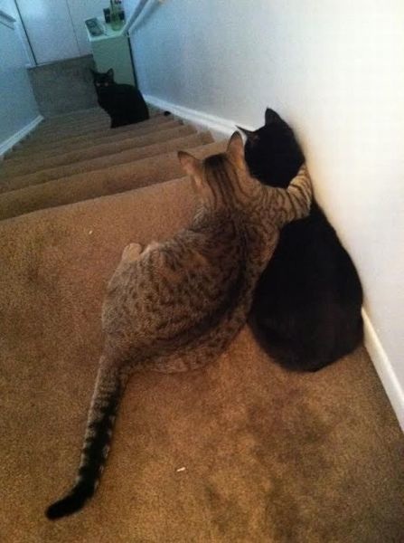 Bildschirmarbeiter - Picdump 22.08.2014