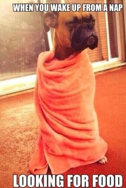 Bildschirmarbeiter - Picdump 22.08.2014