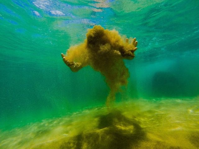 Bildschirmarbeiter - Picdump 22.08.2014