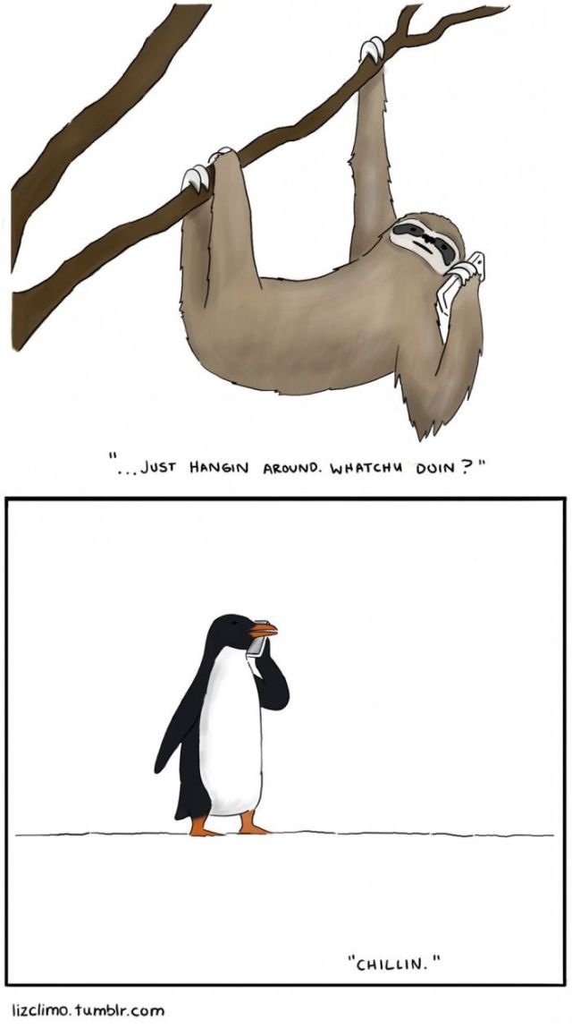 Bildschirmarbeiter - Picdump 22.08.2014