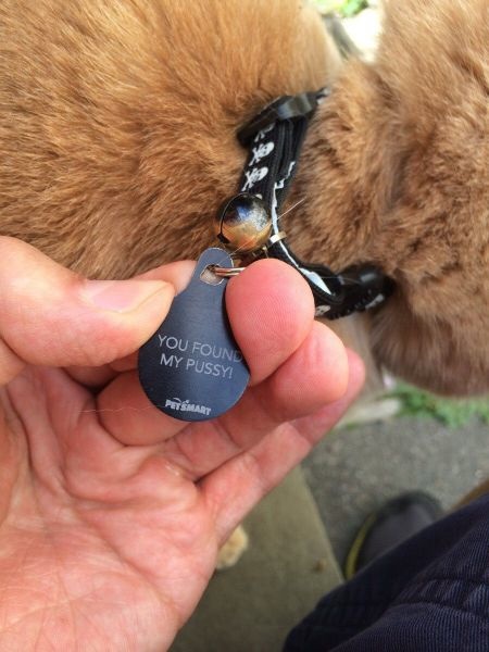 Bildschirmarbeiter - Picdump 22.08.2014