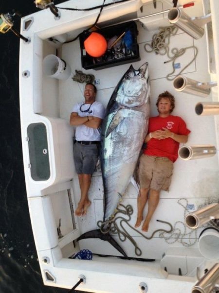 Bildschirmarbeiter - Picdump 22.08.2014