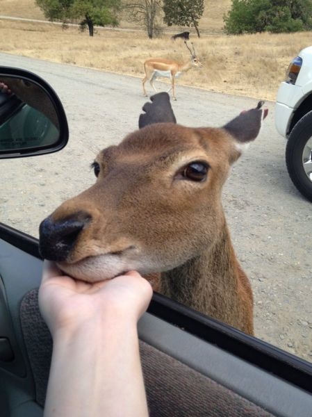 Bildschirmarbeiter - Picdump 22.08.2014