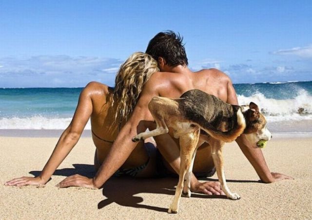 Bildschirmarbeiter - Picdump 22.08.2014