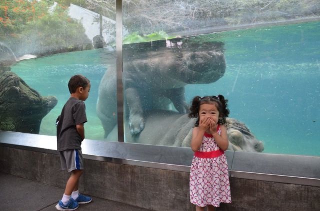 Bildschirmarbeiter - Picdump 22.08.2014