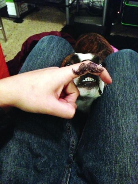 Bildschirmarbeiter - Picdump 22.08.2014