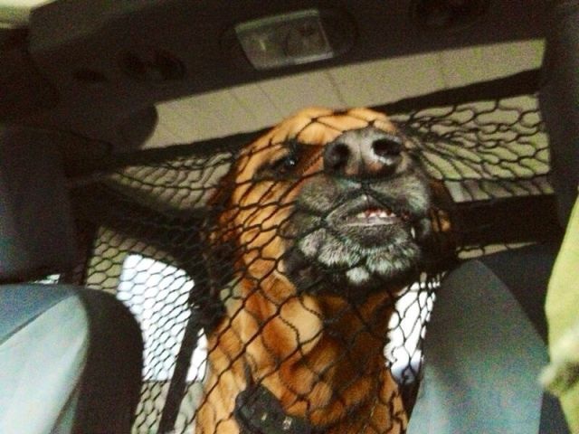 Bildschirmarbeiter - Picdump 22.08.2014