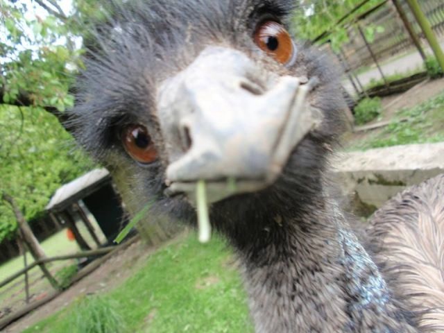 Bildschirmarbeiter - Picdump 22.08.2014