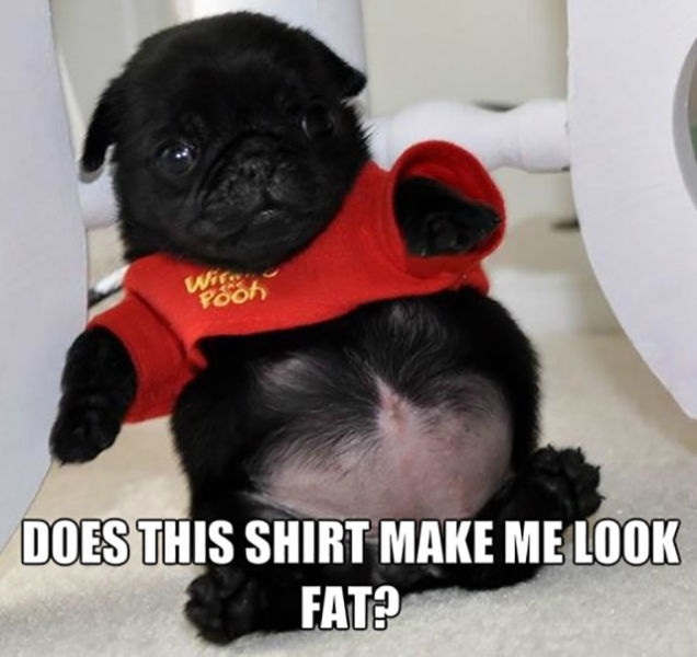 Bildschirmarbeiter - Picdump 22.08.2014