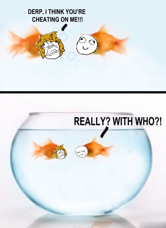 Bildschirmarbeiter - Picdump 22.08.2014