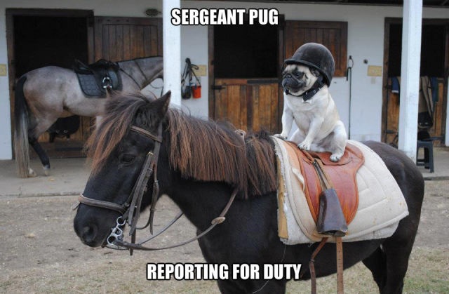 Bildschirmarbeiter - Picdump 22.08.2014