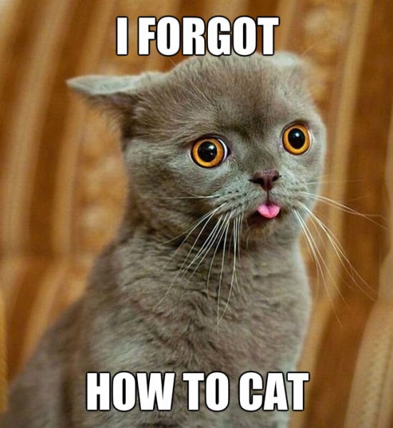 Bildschirmarbeiter - Picdump 22.08.2014