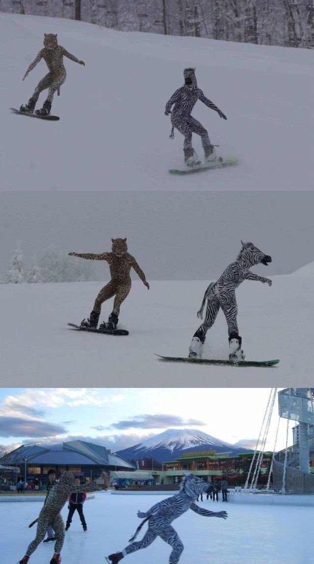 Bildschirmarbeiter - Picdump 22.08.2014