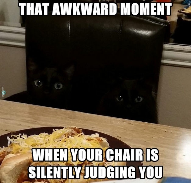 Bildschirmarbeiter - Picdump 22.08.2014