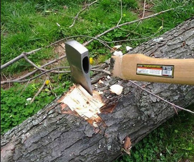 Bildschirmarbeiter - Picdump 22.08.2014