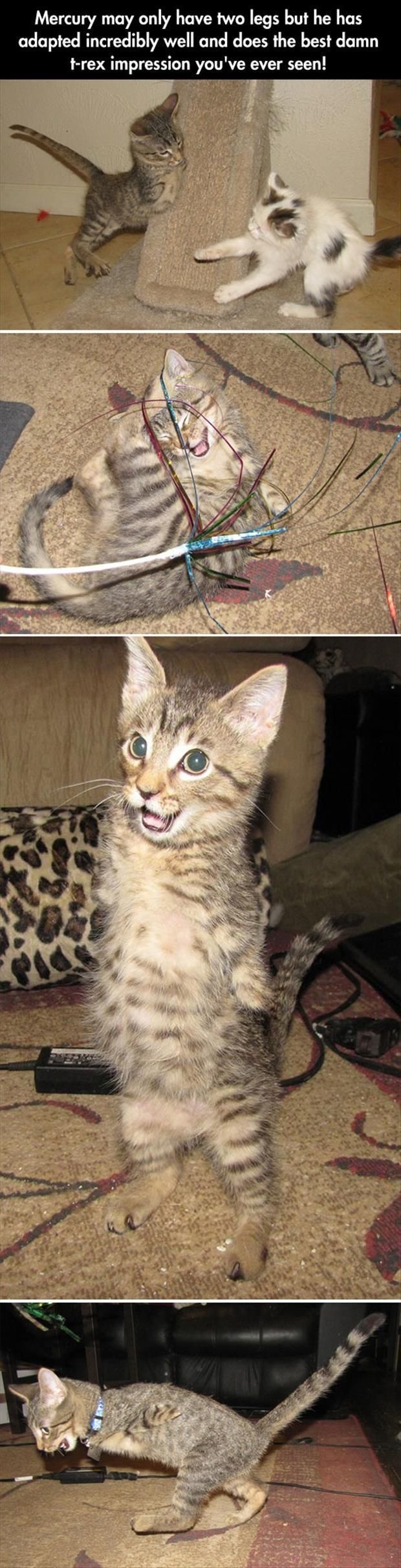 Bildschirmarbeiter - Picdump 22.08.2014