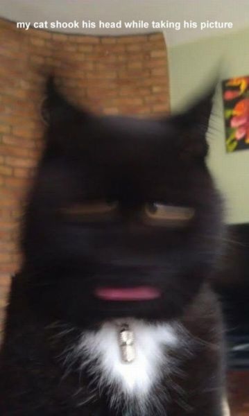 Bildschirmarbeiter - Picdump 29.08.2014