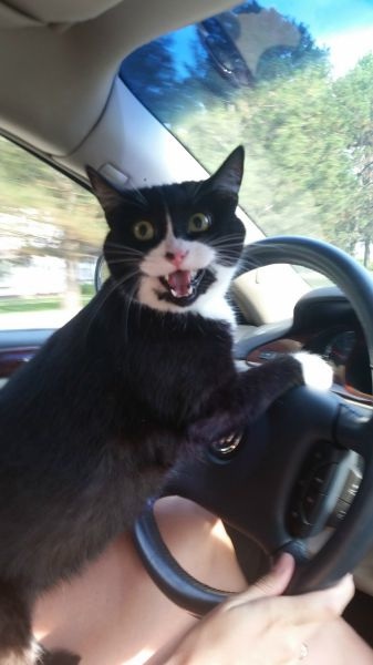 Bildschirmarbeiter - Picdump 29.08.2014