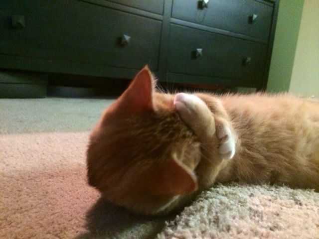 Bildschirmarbeiter - Picdump 29.08.2014