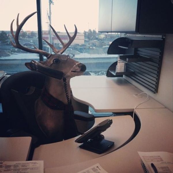 Bildschirmarbeiter - Picdump 29.08.2014