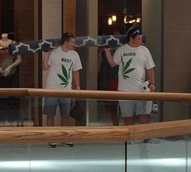 Bildschirmarbeiter - Picdump 29.08.2014