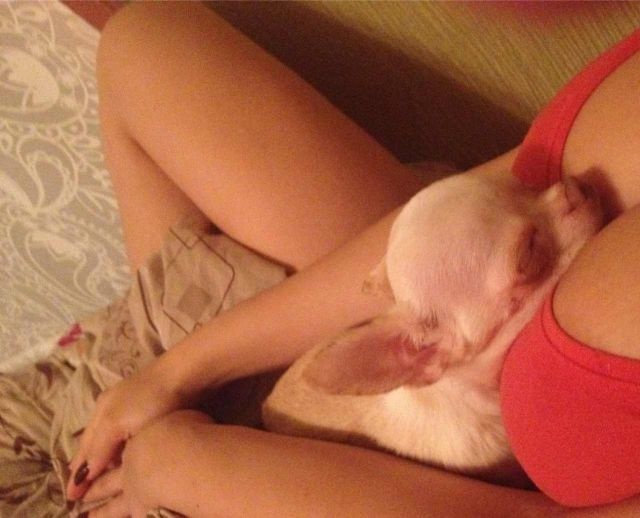 Bildschirmarbeiter - Picdump 29.08.2014