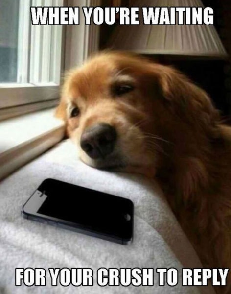 Bildschirmarbeiter - Picdump 29.08.2014