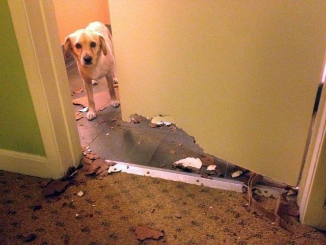 Bildschirmarbeiter - Picdump 29.08.2014