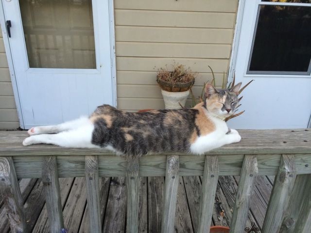 Bildschirmarbeiter - Picdump 29.08.2014