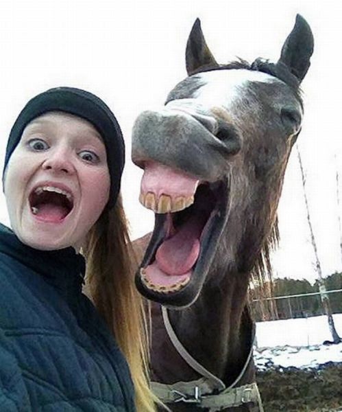 Bildschirmarbeiter - Picdump 29.08.2014