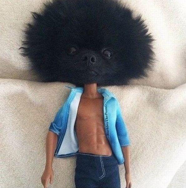 Bildschirmarbeiter - Picdump 29.08.2014