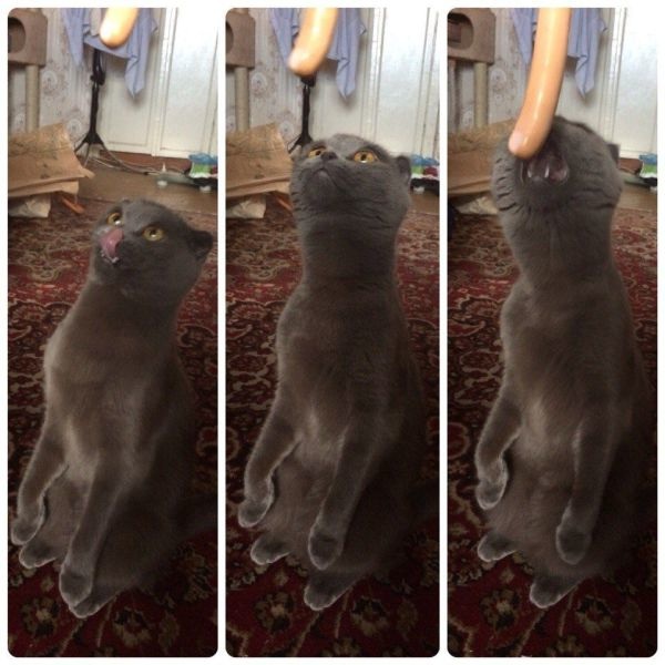 Bildschirmarbeiter - Picdump 29.08.2014